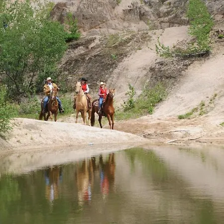 Palomino 3*