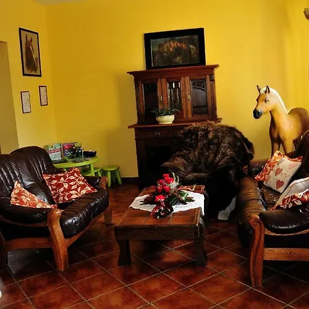 Palomino 게스트하우스